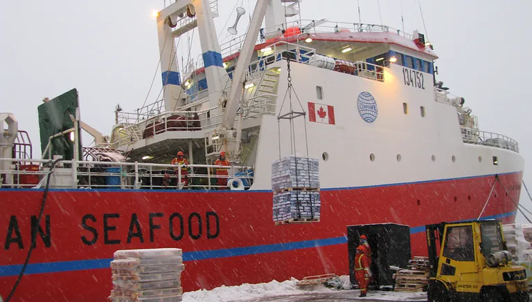 Trawleren Ocean Prawns